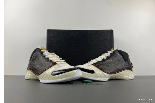 Rep EP Jordan  CZ6222-001  TITAN CZ6222-001 23 0127